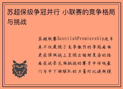 苏超保级争冠并行 小联赛的竞争格局与挑战